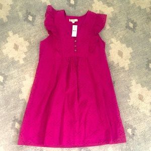 NWT Loft size small pink eyelet dress with flutter sleeve. Adorable!